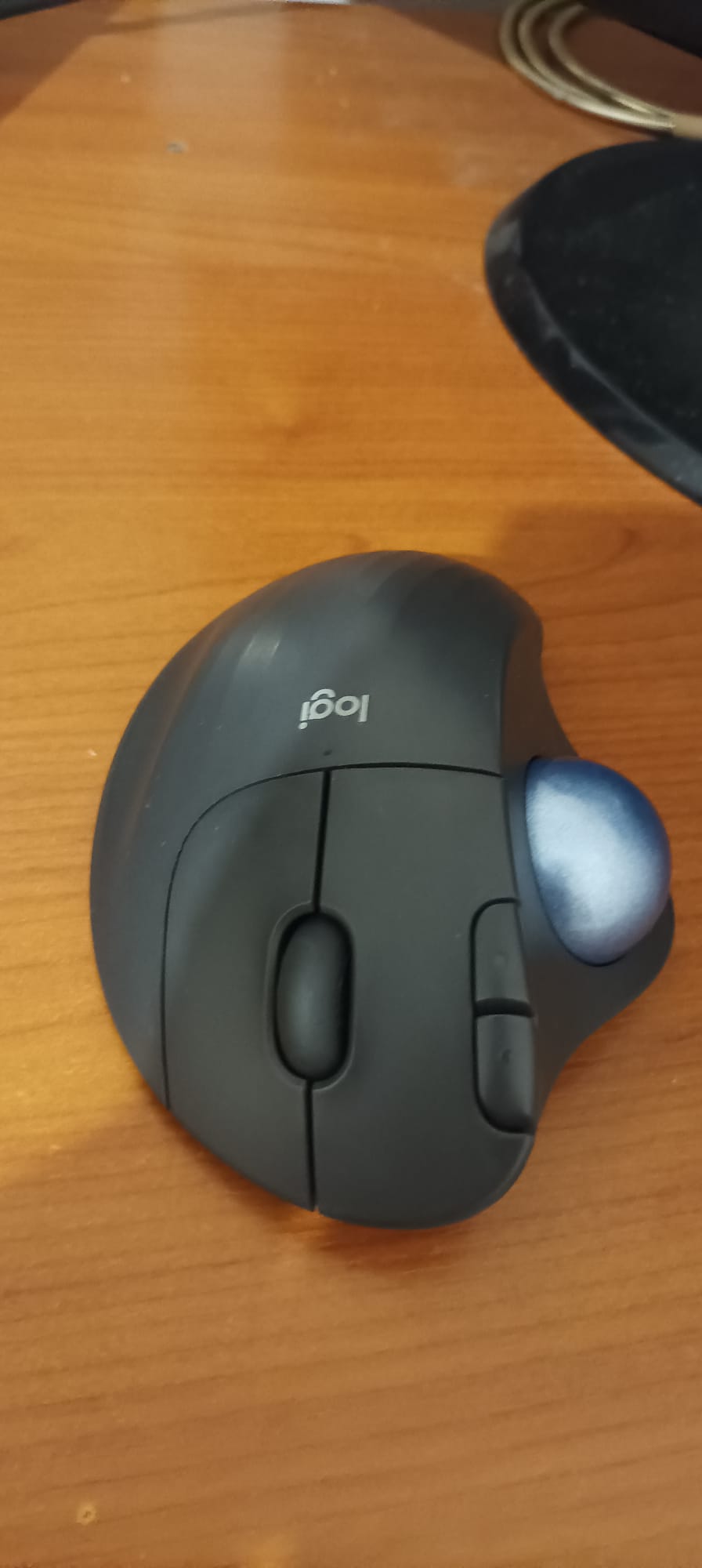 Mouse