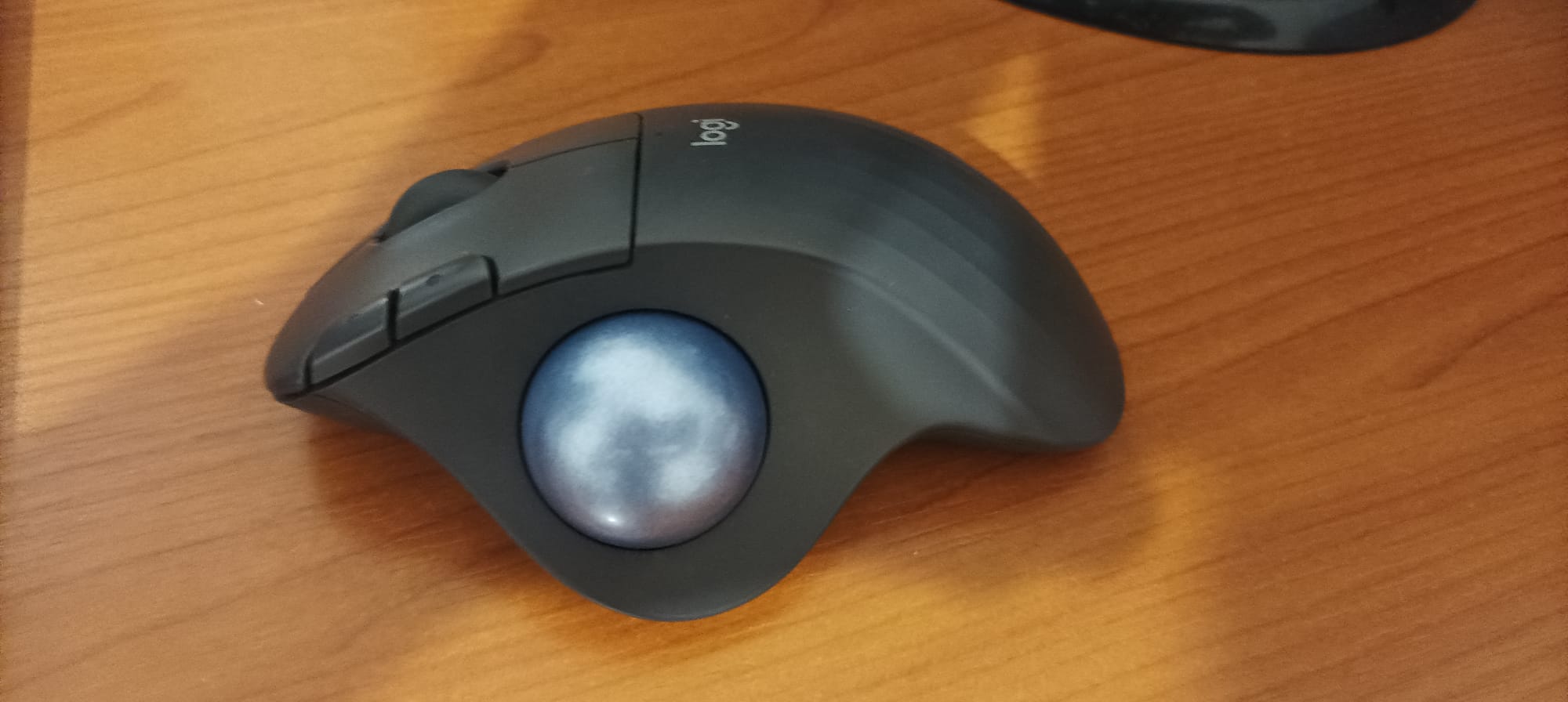 Mouse